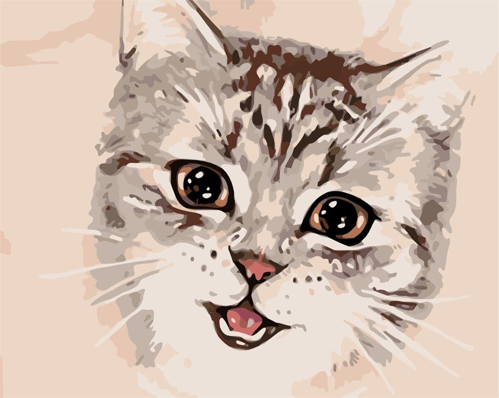 Cat Paint By Numbers