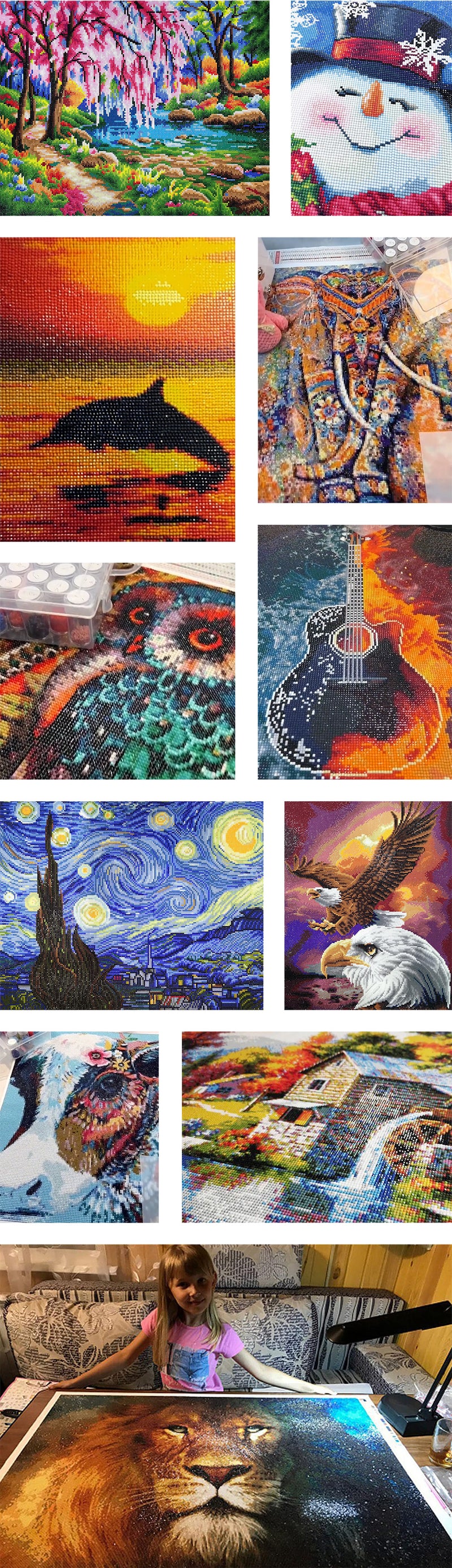 Buyer Show of Diamond Paintings from Happy Customers of Diamond Painting Pro