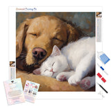 Naptime Buddies Diamond Painting Kit - Full Drill / Square or Round Diamonds with AB Drills Option