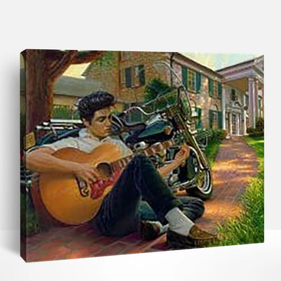 Elvis and Guitar | Paint By Numbers