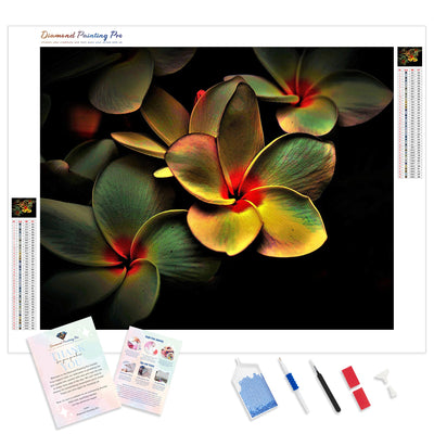 Abstract Frangipani | Diamond Painting Kit - Full Drill - Square or Round Diamonds with AB Drills Option