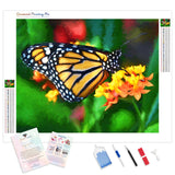 Monarch Butterfly Beauty | Diamond Painting Kit - Full Drill - Square or Round Diamonds with AB Drills Option
