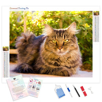 Colorful Tabby Cat | Diamond Painting Kit - Full Drill - Square or Round Diamonds with AB Drills Option