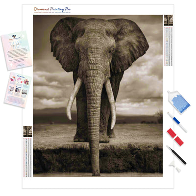Elephant by the Watering Hole | Diamond Painting Kit - Full Drill - Square or Round Diamonds with AB Drills Option