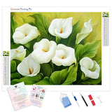 White Calla Lily | Diamond Painting Kit - Full Drill - Square or Round Diamonds with AB Drills Option