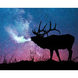 Cold Cold Night | Diamond Painting Design - Full Drill Diamond Art with 5d Square or Round Diamonds - AB Drills Available