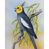 Cockatiel | Diamond Painting Design - Full Drill Diamond Art with 5d Square or Round Diamonds - AB Drills Available