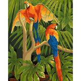 Macaw Parrots | Diamond Painting Design - Full Drill Diamond Art with 5d Square or Round Diamonds - AB Drills Available