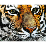 Big Cat | Diamond Painting Design - Full Drill Diamond Art with 5d Square or Round Diamonds - AB Drills Available