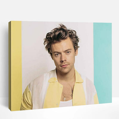 Harry Styles Cover Photo | Paint By Numbers