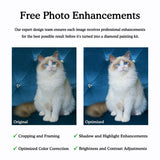 free photo enhancements by diamond painting pro australia