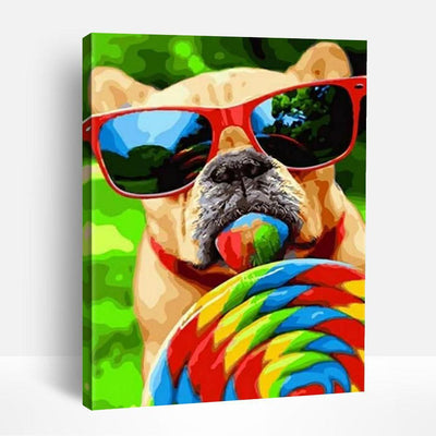 Pug and Rainbow Lollipop | Paint By Numbers