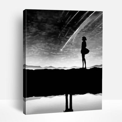 Shooting Stars in Black & White | Paint By Numbers