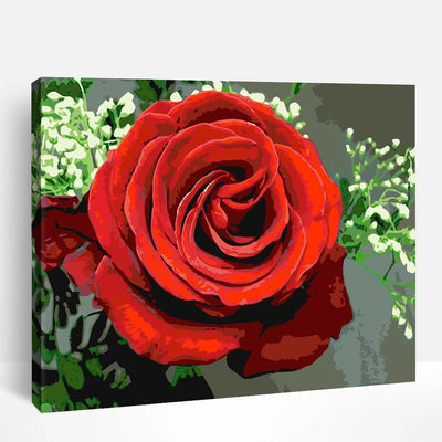 Red Rose | Paint By Numbers