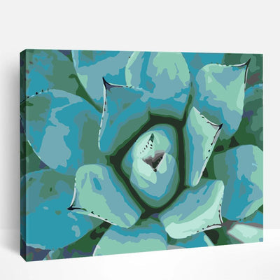 Succulent | Paint By Numbers