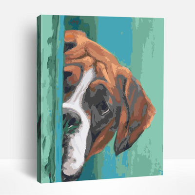 Boxer Dog Peak | Paint By Numbers