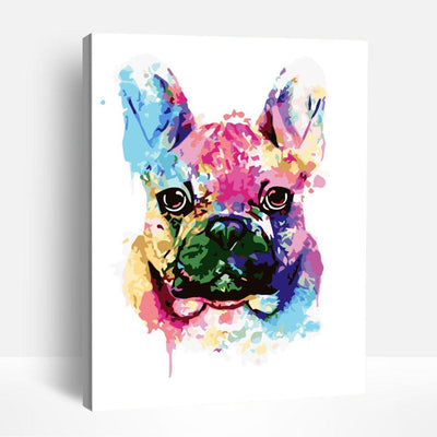Colorful French Bulldog | Paint By Numbers