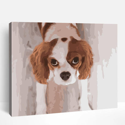 Puppy King Charles Spaniel | Paint By Numbers