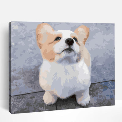 Baby Corgi | Paint By Numbers
