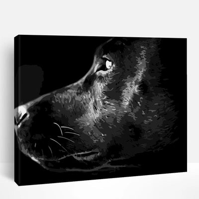 Black Labrador Gaze | Paint By Numbers