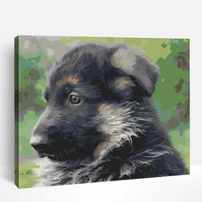 German Shepherd Puppy | Paint By Numbers