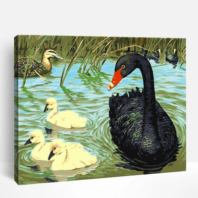Black Swan and Cygnet | Paint By Numbers