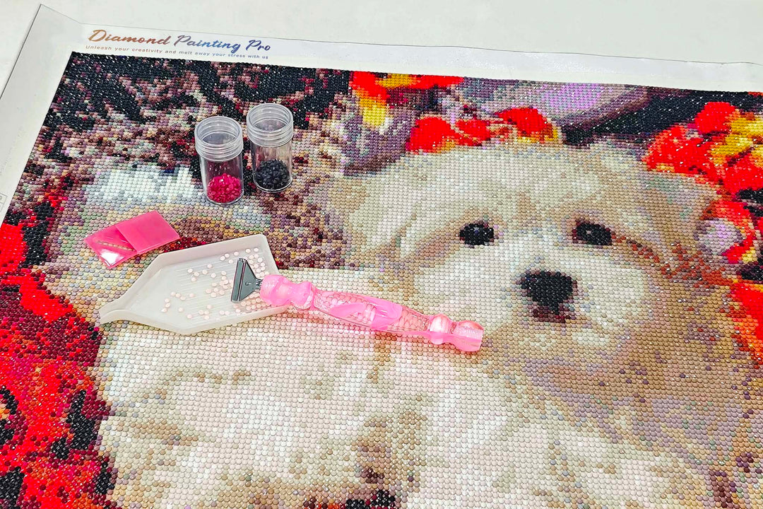 How to Increase Diamond Painting Speed: Finish Your Canvas Faster