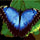 Butterflies Paint By Numbers