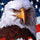 America Paint By Numbers