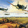 Military Paint By Numbers