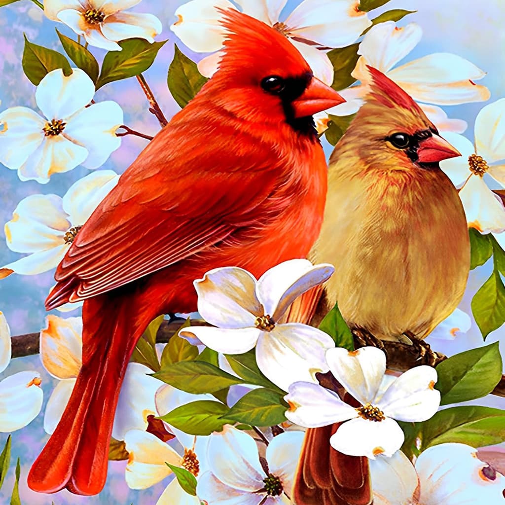 Cardinal Diamond Painting