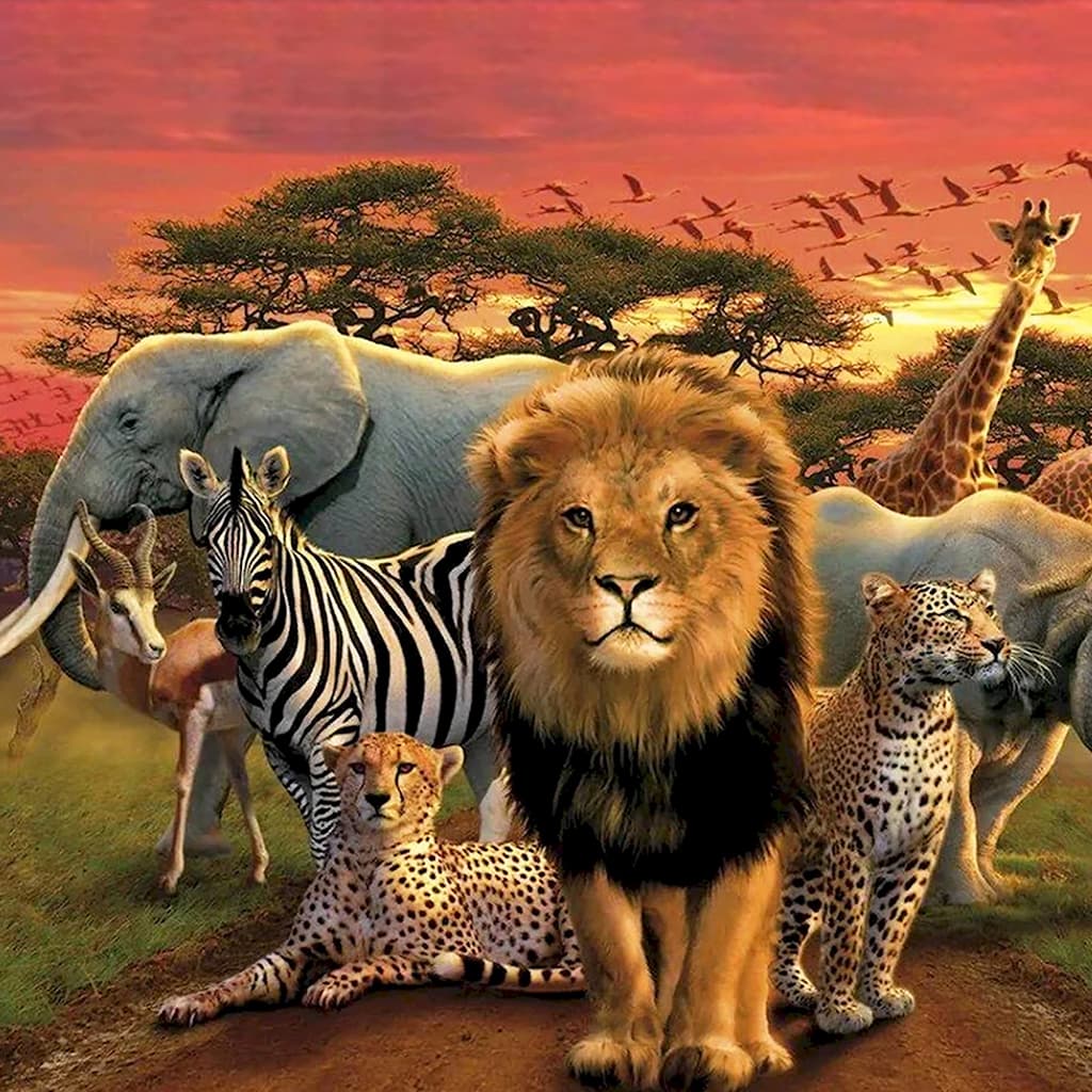 Wildlife Diamond Painting