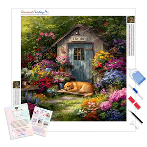 Afternoon Dreams | Diamond Painting