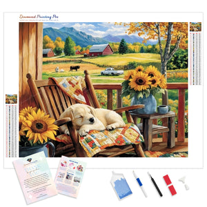 Farmhouse Porch Nap | Diamond Painting