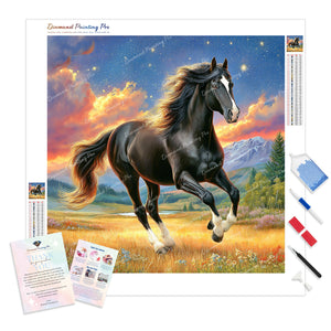 Galloping Black Horse | Diamond Painting