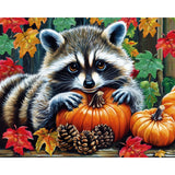 Raccoon's Pumpkin Snuggle | Diamond Painting Design - Full Drill Diamond Art with 5d Square or Round Diamonds - AB Drills Available