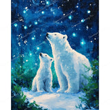 Starry Night Polar Diamond Art Design - Full Drill with 5d Square or Round Diamonds / AB Drills Available