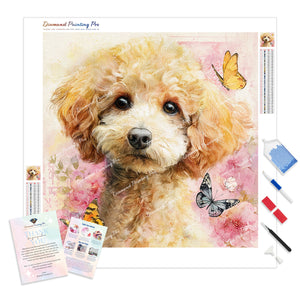 Poodle Portrait | Diamond Painting