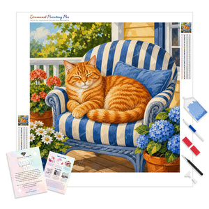 Sleepy Orange Cat | Diamond Painting