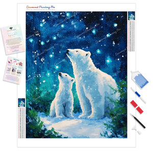 Starry Night Polar | Diamond Painting