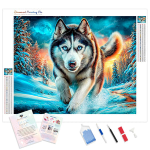 The Arctic Wolf | Diamond Painting