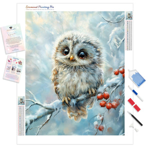 Winter Owl | Diamond Painting