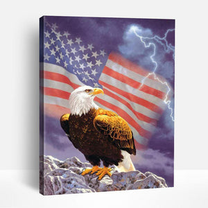 American Flag and Eagle | Paint By Numbers