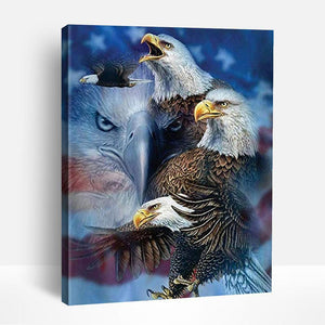 Eagles Stare | Paint By Numbers