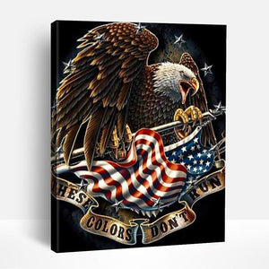 Fierce Eagle and US Flag | Paint By Numbers