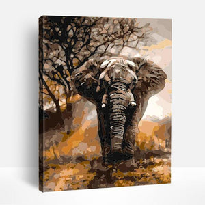 Elephant at Sunset | Paint By Numbers