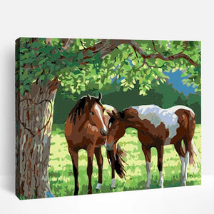 Horse Whispering Meadows | Paint By Numbers