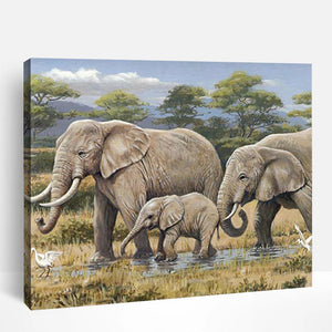 Elephant Family | Paint By Numbers