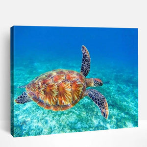 Ocean Blue Turtle | Paint By Numbers