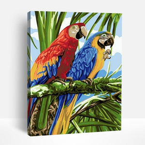 Colorful Tropical Parrots | Paint By Numbers